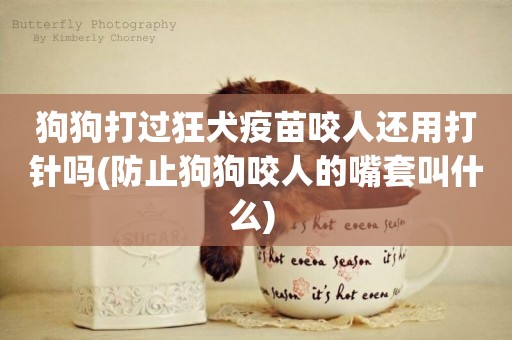 狗狗打過狂犬疫苗咬人還用打針嗎(防止狗狗咬人的嘴套叫什么) 