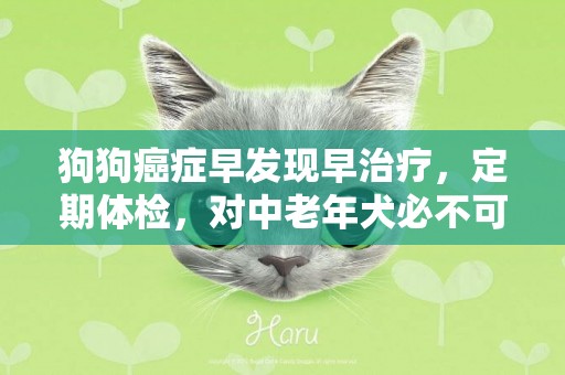 狗狗癌癥早發現早治療，定期體檢，對中老年犬必不可少 