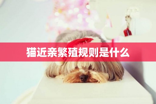 貓近親繁殖規則是什么