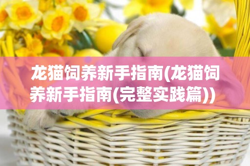 龍貓飼養新手指南(龍貓飼養新手指南(完整實踐篇)) 