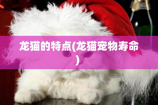 龍貓的特點(龍貓寵物壽命) 