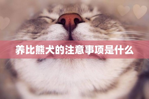 養比熊犬的注意事項是什么