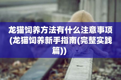 龍貓飼養方法有什么注意事項(龍貓飼養新手指南(完整實踐篇)) 