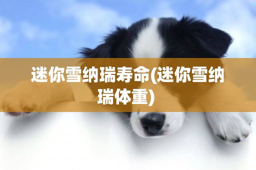 迷你雪納瑞壽命(迷你雪納瑞體重) 