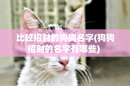 比較招財的狗狗名字(狗狗招財的名字有哪些) 