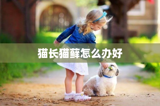 貓長貓蘚怎么辦好