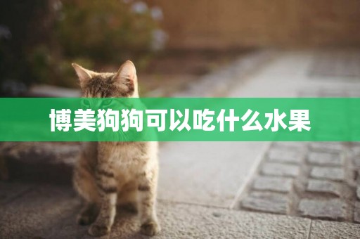 博美狗狗可以吃什么水果