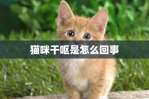 貓咪干嘔是怎么回事
