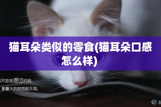 貓耳朵類似的零食(貓耳朵口感怎么樣) 
