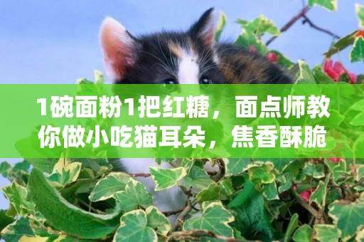 1碗面粉1把紅糖，面點師教你做小吃貓耳朵，焦香酥脆，果斷收藏 