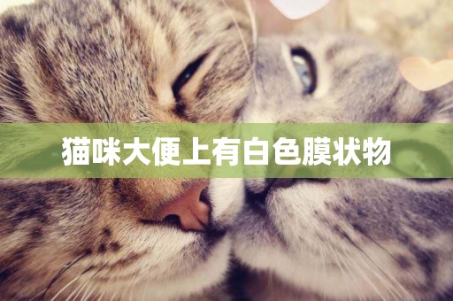 貓咪大便上有白色膜狀物