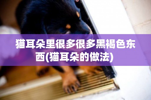 貓耳朵里很多很多黑褐色東西(貓耳朵的做法) 