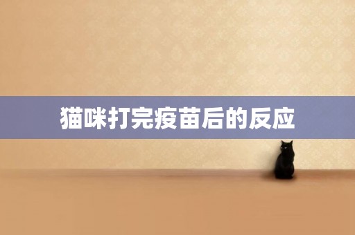 貓咪打完疫苗后的反應