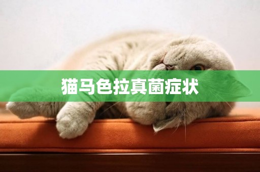 貓馬色拉真菌癥狀
