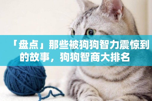 「盤點」那些被狗狗智力震驚到的故事，狗狗智商大排名 