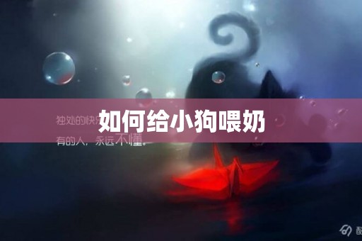 如何給小狗喂奶