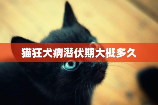 貓狂犬病潛伏期大概多久
