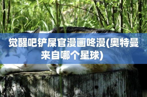 覺醒吧鏟屎官漫畫咚漫(奧特曼來自哪個星球) 