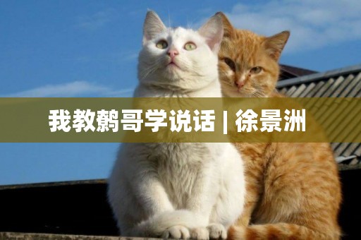 我教鷯哥學說話 | 徐景洲 