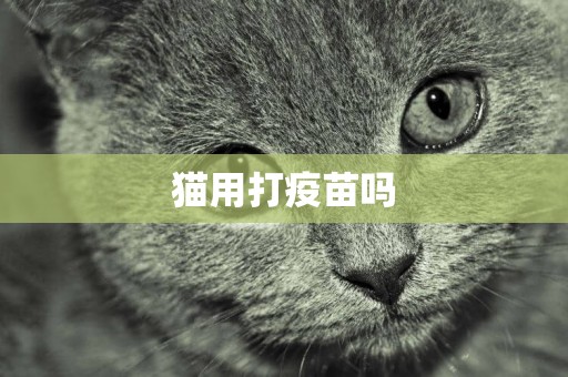 貓用打疫苗嗎