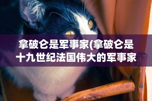 拿破侖是軍事家(拿破侖是十九世紀法國偉大的軍事家) 
