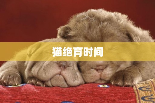 貓絕育時間