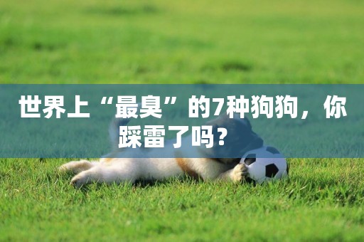 世界上“最臭”的7種狗狗，你踩雷了嗎？ 