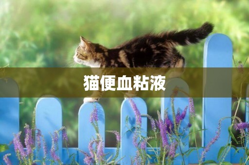 貓便血粘液