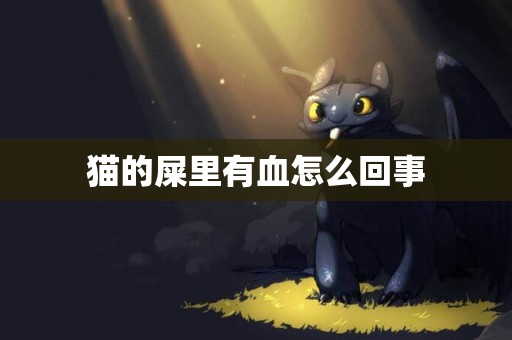 貓的屎里有血怎么回事