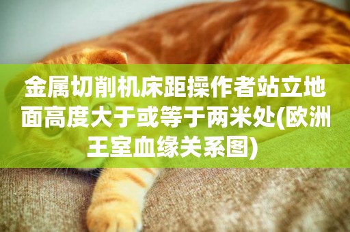 金屬切削機床距操作者站立地面高度大于或等于兩米處(歐洲王室血緣關系圖) 