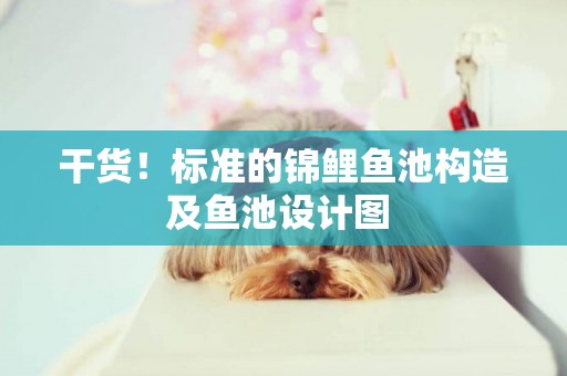 干貨！標準的錦鯉魚池構造及魚池設計圖 