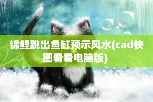 錦鯉跳出魚缸預示風水(cad快圖看看電腦版) 