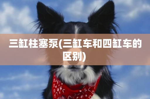 三缸柱塞泵(三缸車和四缸車的區別) 