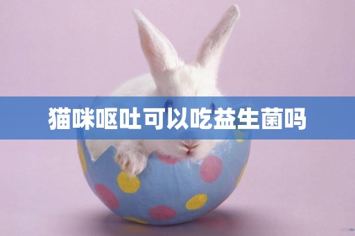 貓咪嘔吐可以吃益生菌嗎