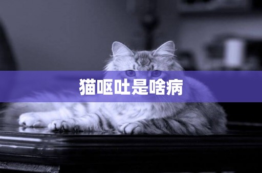 貓嘔吐是啥病