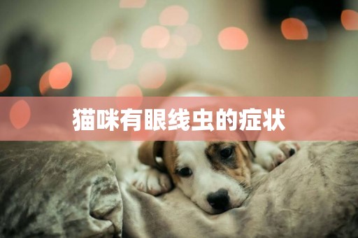 貓咪有眼線蟲的癥狀