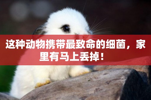 這種動物攜帶最致命的細菌，家里有馬上丟掉！ 