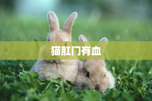 貓肛門有血