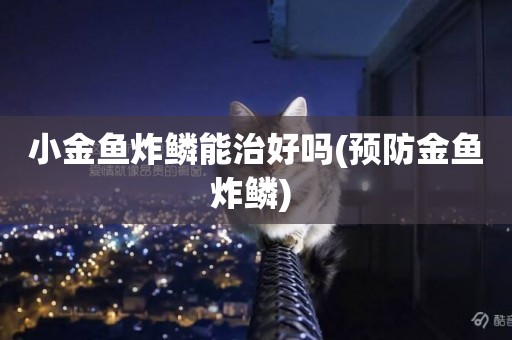 小金魚炸鱗能治好嗎(預防金魚炸鱗) 