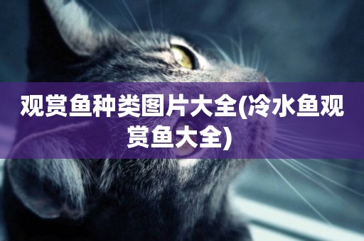 觀賞魚種類圖片大全(冷水魚觀賞魚大全) 