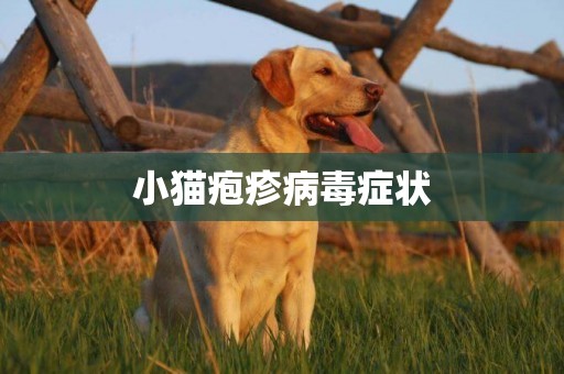 小貓皰疹病毒癥狀