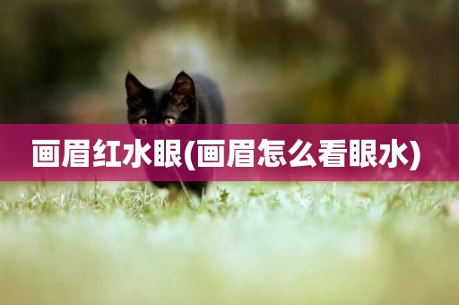畫眉紅水眼(畫眉怎么看眼水) 