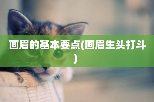畫眉的基本要點(畫眉生頭打斗) 