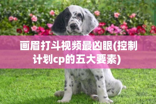 畫眉打斗視頻最兇眼(控制計劃cp的五大要素) 