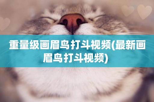 重量級畫眉鳥打斗視頻(最新畫眉鳥打斗視頻) 