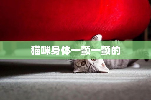 貓咪身體一顫一顫的