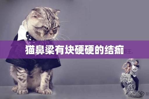 貓鼻梁有塊硬硬的結痂