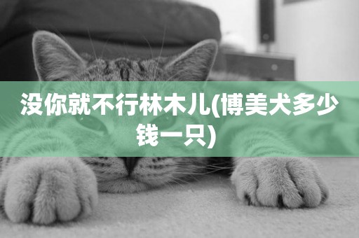 沒你就不行林木兒(博美犬多少錢一只) 