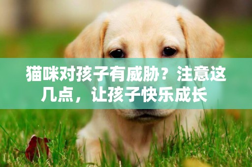 貓咪對孩子有威脅？注意這幾點，讓孩子快樂成長 