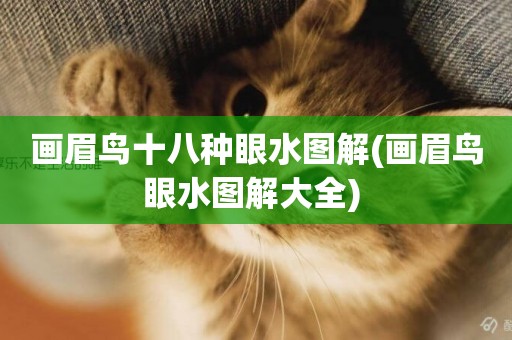 畫眉鳥十八種眼水圖解(畫眉鳥眼水圖解大全) 